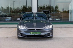 
										TESLA MODEL S, 75D 4WD completo									