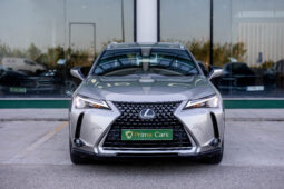 
										LEXUS UX BUSINESS CITY completo									