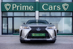 
										LEXUS UX BUSINESS CITY completo									