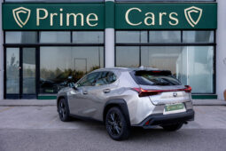 
										LEXUS UX BUSINESS CITY completo									