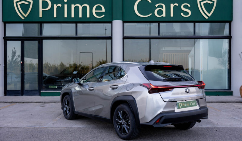 
								LEXUS UX BUSINESS CITY completo									