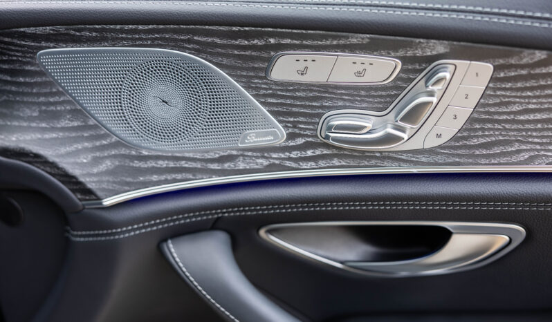 
								MERCEDES BENZ AMG GT 53+ 4 MATIC completo									