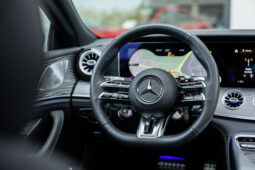 
										MERCEDES BENZ AMG GT 53+ 4 MATIC completo									