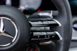 
										MERCEDES BENZ AMG GT 53+ 4 MATIC completo									