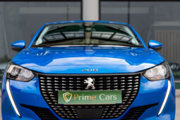 
										PEUGEOT 208 ACTIVE PACK completo									