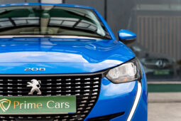 
										PEUGEOT 208 ACTIVE PACK completo									