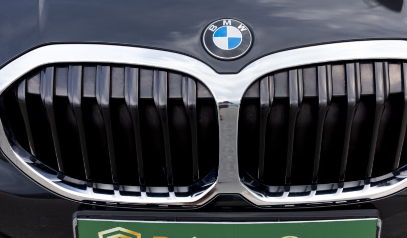 
								BMW SERIE 1, 116d completo									