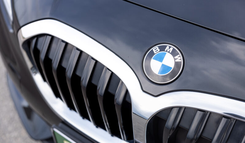 
								BMW SERIE 1, 116d completo									