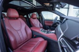 
										BMW X6 xDrive 30d completo									