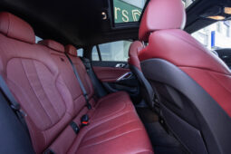 
										BMW X6 xDrive 30d completo									