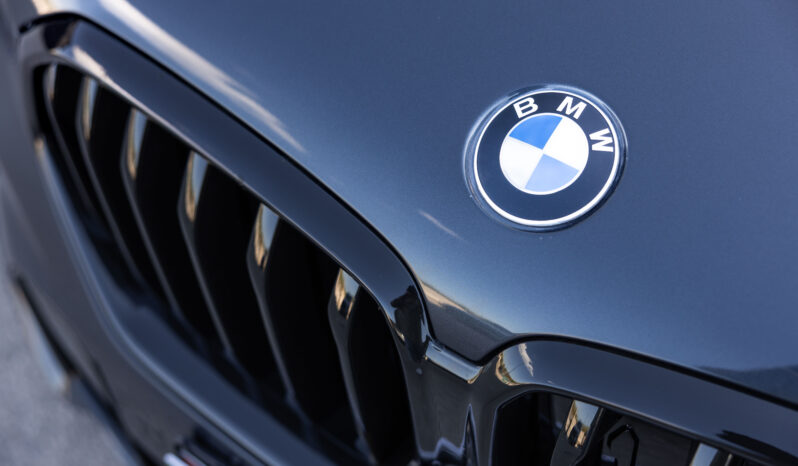 
								BMW X6 xDrive 30d completo									