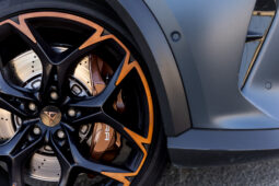 
										CUPRA FORMENTOR 2.5 TSI VZ5 completo									