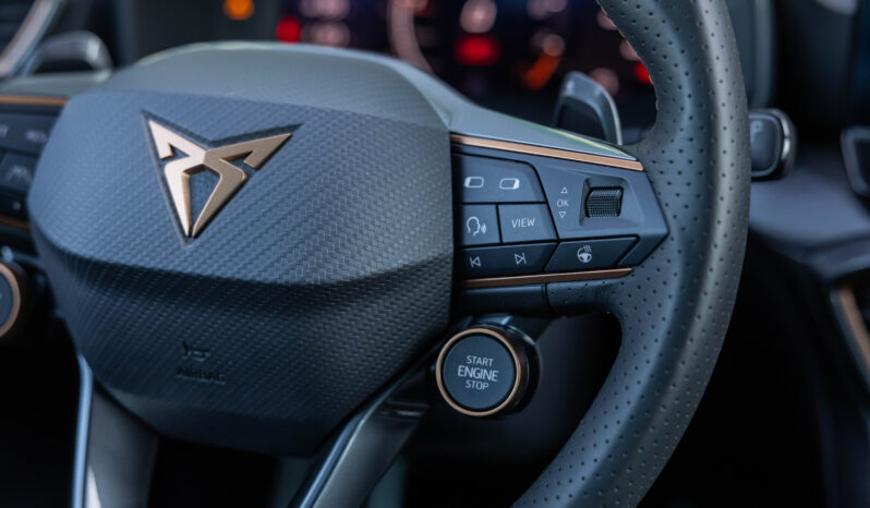 
								CUPRA FORMENTOR 2.5 TSI VZ5 completo									