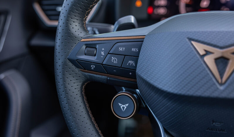
								CUPRA FORMENTOR 2.5 TSI VZ5 completo									