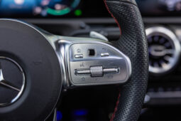 
										Mercedes  Benz A 250e completo									